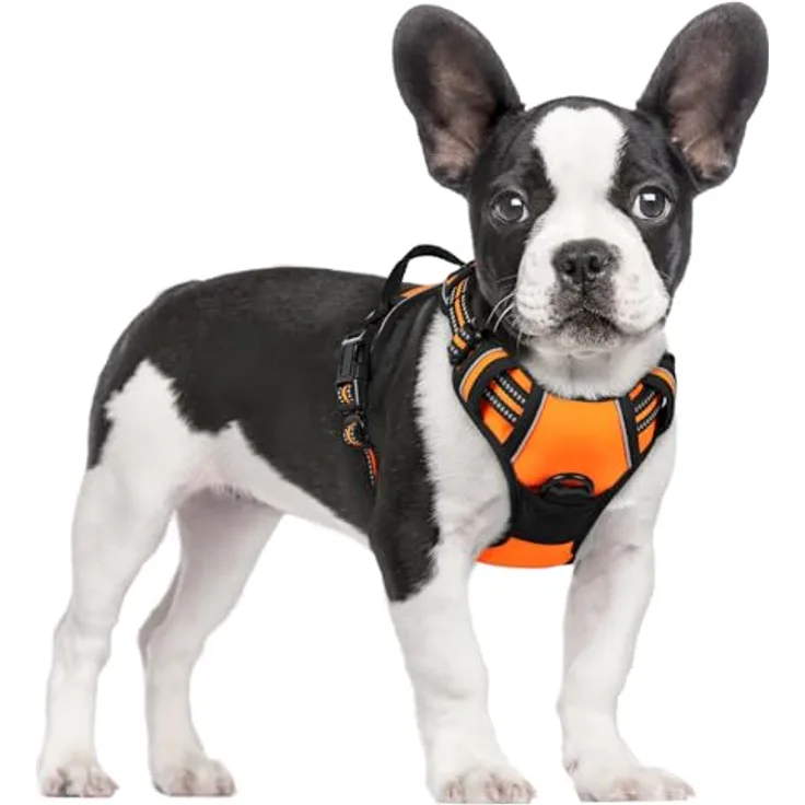 rabbitgoo Hundegeschirr Mittelgroße Hunde Anti Zug mit Griff, S, Orange | No Pull & Individuell Anpassbar, Atmungsaktiv Gepolstert, 2 D-Ringe, Schnellverschlüsse, Reflektierend für Gassi & Training