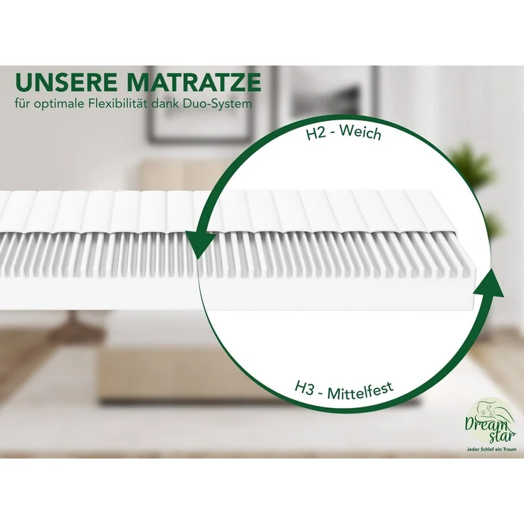 DREAMSTAR Easy Flex 7-Zonen Matratze 80x200 cm | H2&H3 | Ergonomische Kaltschaummatratze | Hypoallergen & Antibakteriell | Bezug abnehmbar & waschbar | Oeko-TEX® | (16cm, 80x200 cm) – Bild 4