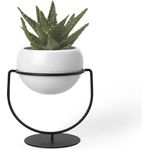 Umbra Nesta Pflanzenhalter, Pflanzen Halter, Blumentopf, Kräutertopf, Keramik / Messing, Weiß / Flecken, 19 cm, 1009251-748