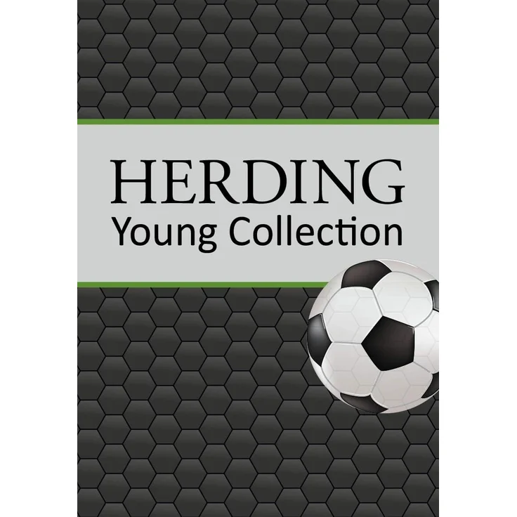 Herding Young Collection Dekokissen Fußball, mit tollem Fußball Motiv – Bild 6