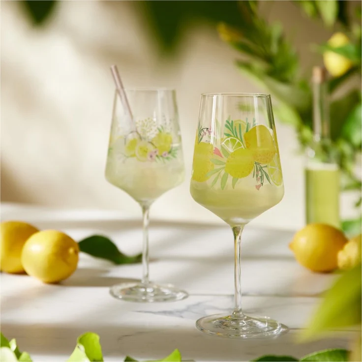 Ritzenhoff 2931020 Aperitifglas 2er Set #19, #20 SOMMERTAU Limoncello von A. Vasconcelos und C. Kordes 2024 in Geschenkbox – Bild 8