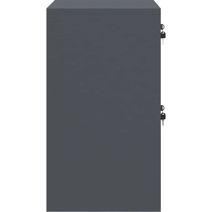 vidaXL Aktenschrank Anthrazit 45,5 x 42 x 74,5 cm Kaltgewalzter Stahl 891612 – Bild 8