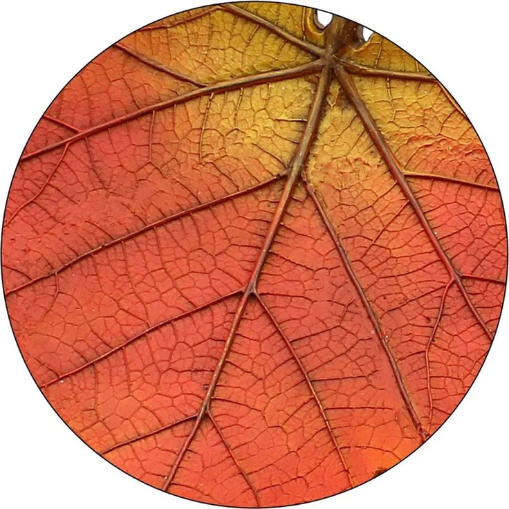Dekohelden24 Dekoschale Herbstblatt - Herbstschale - Dekoschale in Blattform als 2 Schalen – Bild 4