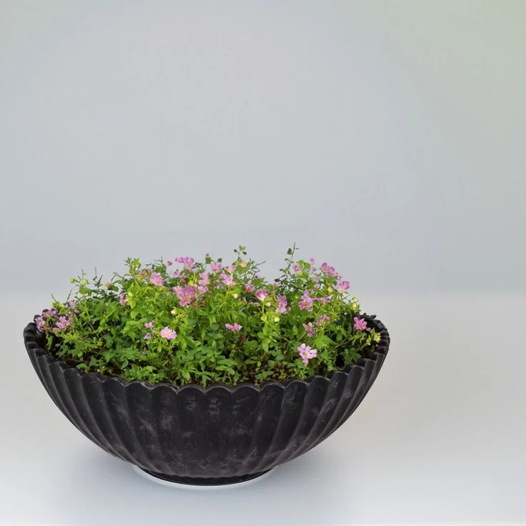 matches21 HOME & HOBBY Blumentopf Dekoschale runde Pflanzschale für draussen schwarz marmoriert 16 cm (1 St), Blumen-Schale als wetterfeste Friedhof-Schale Grab-Schmuck Grabschale – Bild 2