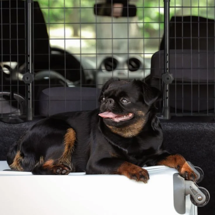 Hundegitter Auto Universal – Bild 3