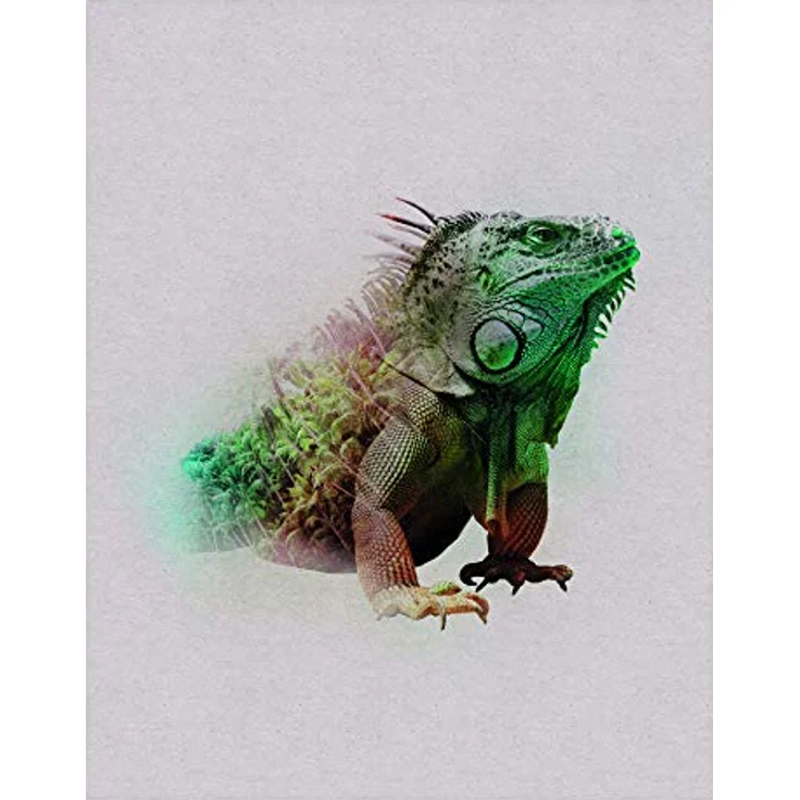 Komar Animals Paradise Iguana, Wandbild ohne Rahmen, 40 x 50 cm, hochwertiger Kunstdruck auf fotopapiert mit seidenmatter Oberfläche, geeignet für Wohnzimmer und Schlafzimmer – Bild 1