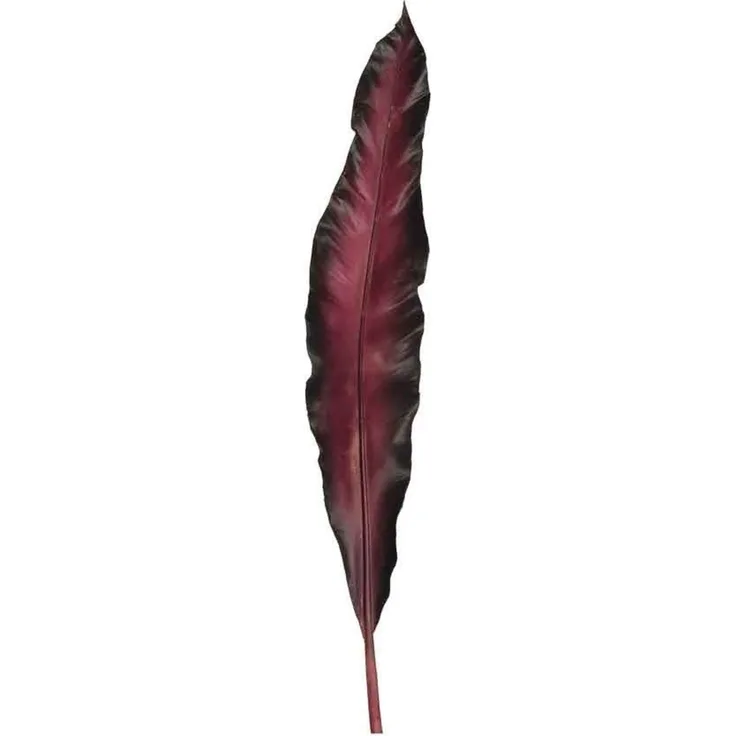 Leonardo Leonardo Blatt Fiore L038522