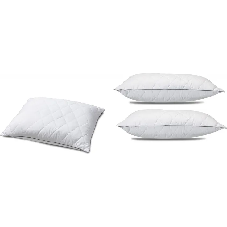2er Set Dreamswan Kopfkissen 60x70cm Microfaser BL6070BL