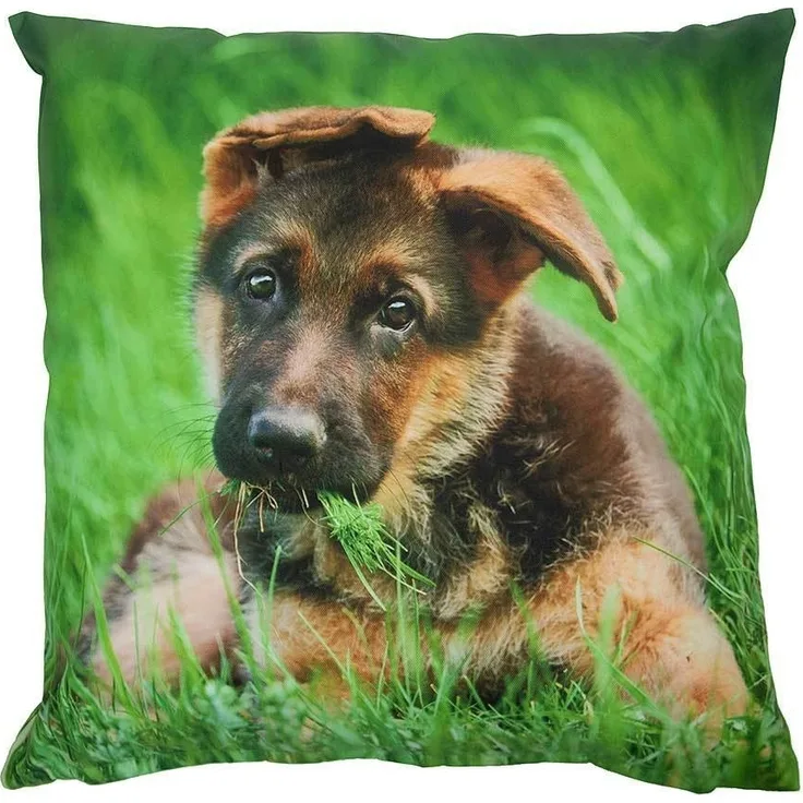 Outdoor Kissen Hund Welpe Schäferhund Gartenkissen Wasserabweisend 40 x 40 cm