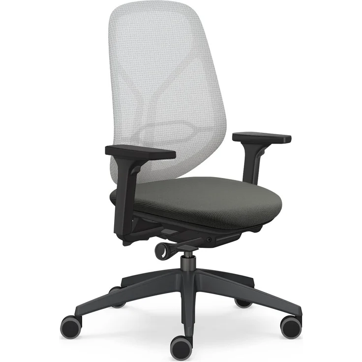 Sedus se:kit pro ergonomischer Bürostuhl mit Membranbespannung, Lordose, 3D Armlehnen, Sitz mit Tiefenverstellung, Höhenverstellbar 40-53cm, bis 150kg belastbar, Made in Germany
