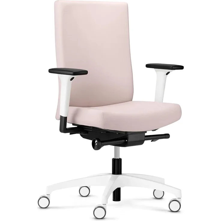 Dauphin @just evo Cozy Colours | ergonomischer Bürostuhl, Made in Germany | Bequeme, höhenverstellbare Rückenlehne | individuell einstellbare Sitztiefe (zartrosa)
