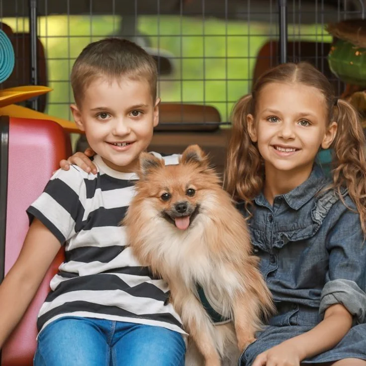 Hundegitter Auto Universal – Bild 5