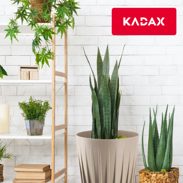 KADAX Blumentopf Eco Cover + brauner Einsatz 19x22,5 cm – Bild 7