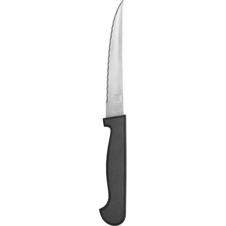 Fleischmesser Amefa Metall zweifarbig 21 cm 12 Stück