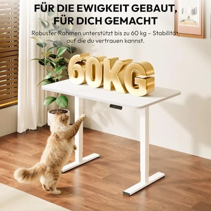 SANODESK Höhenverstellbarer Schreibtisch mit Komplett Tischplatte, Elektrischer Ergonomischer Schreibtisch, Steh-Sitz Bürotisch für Homeoffice, 120x60 cm, Weiß – Bild 8