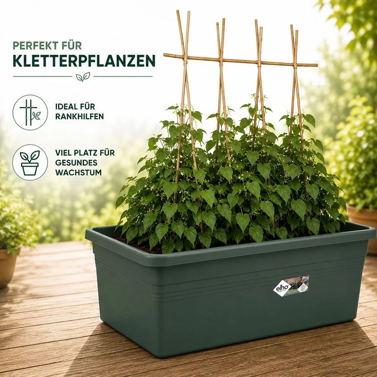5X Elho Green Basics Beweglicher Garten - Gemüsegarten - Übertopf - Laubgrün - Draußen - L 76.7 x W 57.9 x H 29 cm – Bild 6