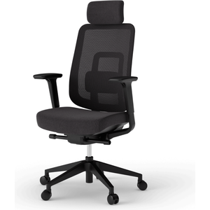 Bild für Ergotopia 'PureBack' ergonomischer Bürostuhl mit Lordosenstütze & 4D-Armlehne