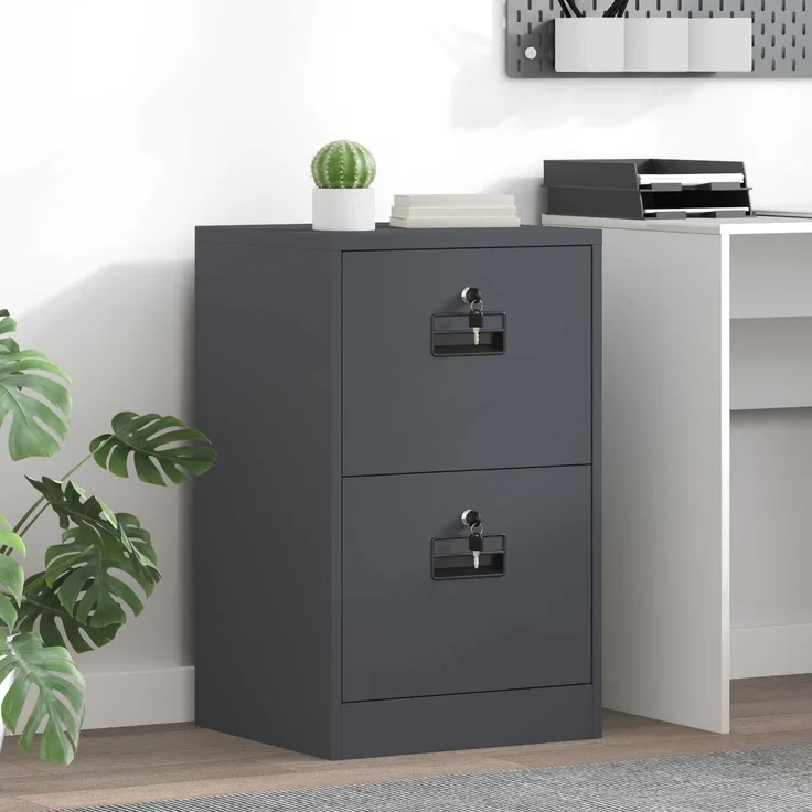 vidaXL Aktenschrank Anthrazit 45,5 x 42 x 74,5 cm Kaltgewalzter Stahl 891612