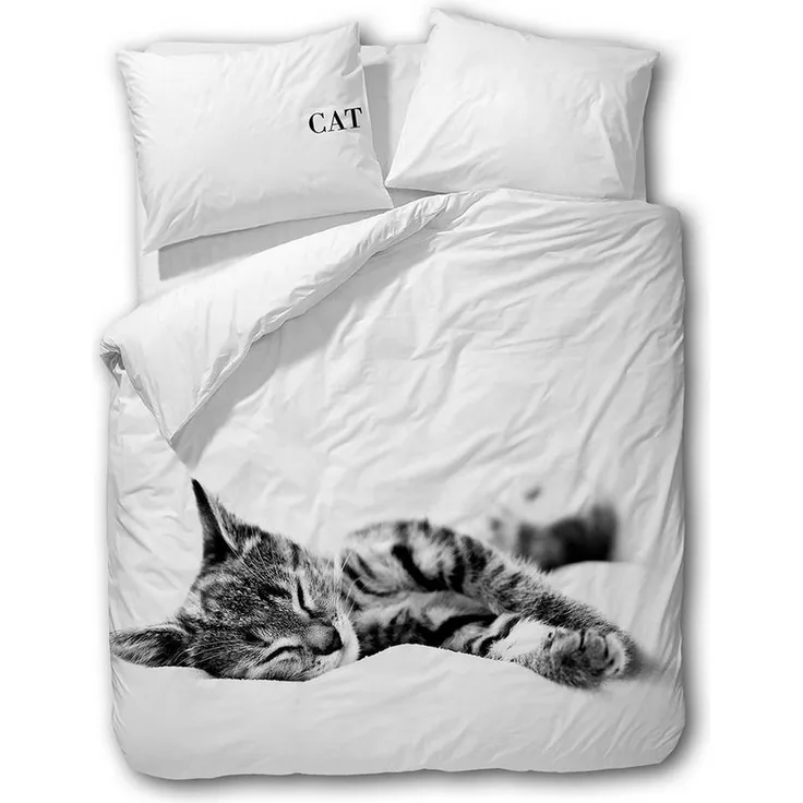 TRAUMSCHLAF Bettwäsche Cat, Renforce, 2 teilig, schönes Katzen Motiv
