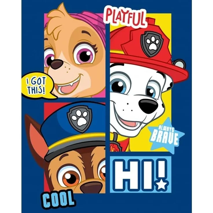 Paw Patrol Always Brave Polar Kinder Jungen Fleece Decke Kuscheldecke 100x140 cm