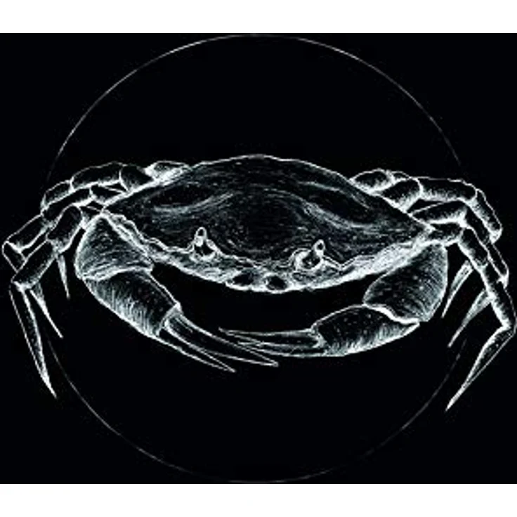 Komar Crab Black Wandbild, Premium-Poster 30 x 40 cm, fotorealistischer Kunstdruck ohne Rahmen, ideal für Wohnzimmer und Schlafzimmer – Bild 1