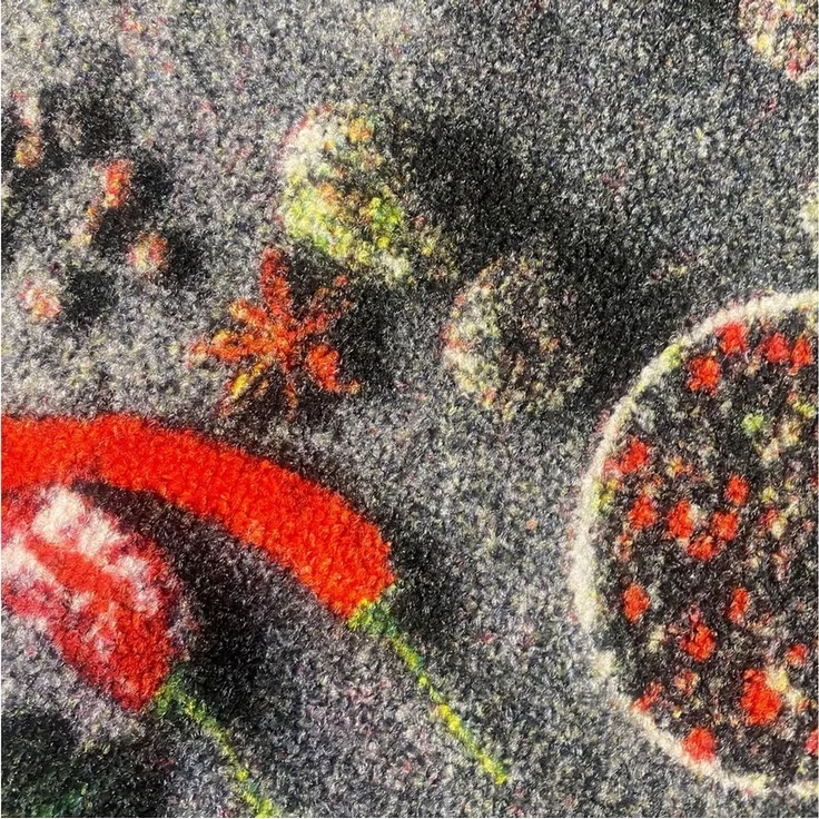 Carpetia Küchenläufer Küchenteppich Modern, rechteckig, Höhe: 5 mm, rutschhemmender Rücken, pflegeleicht, robust – Bild 3