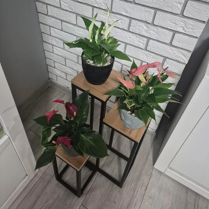Ruhhy Ablageregal Blumenregal Standblumenständer, Spar-Set 3-tlg, Bietet Platz für drei Pflanzen in unterschiedlichen Höhen – Bild 6