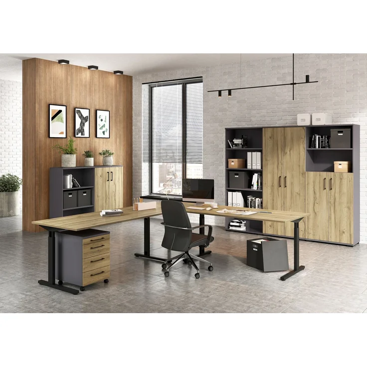 Germania GW-PROFI 3.0 Aktenschrank 4247, Graphit/Grandson-Eiche-Nb, 80 x 123 x 40 cm (BxHxT) – Bild 4
