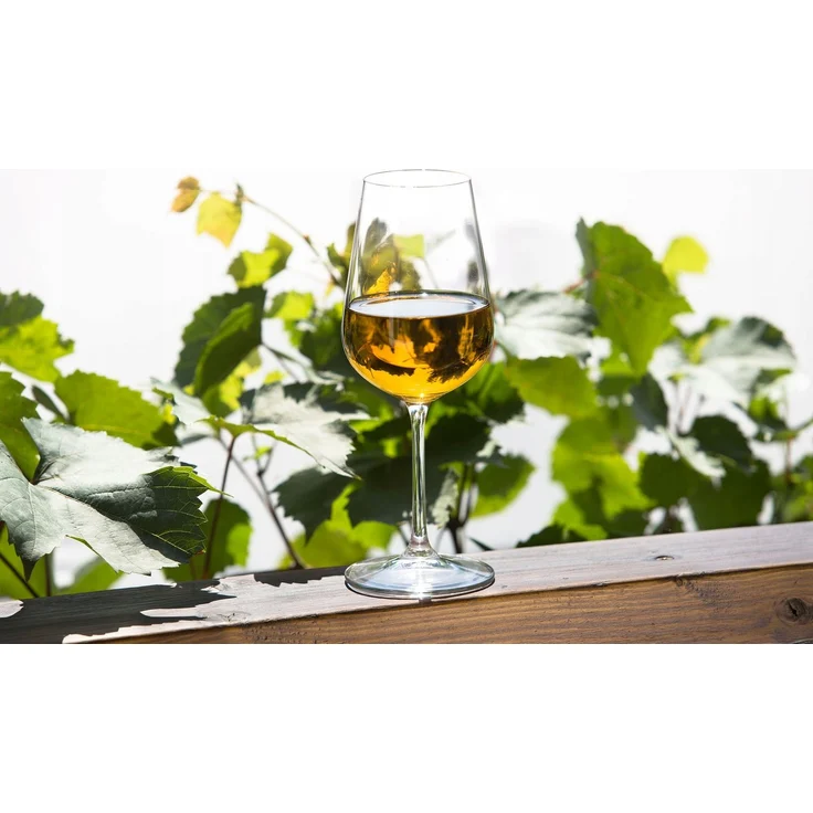KADAX Weißweingläser, Glas-Set, 6 Stück, 360 ml – Bild 8
