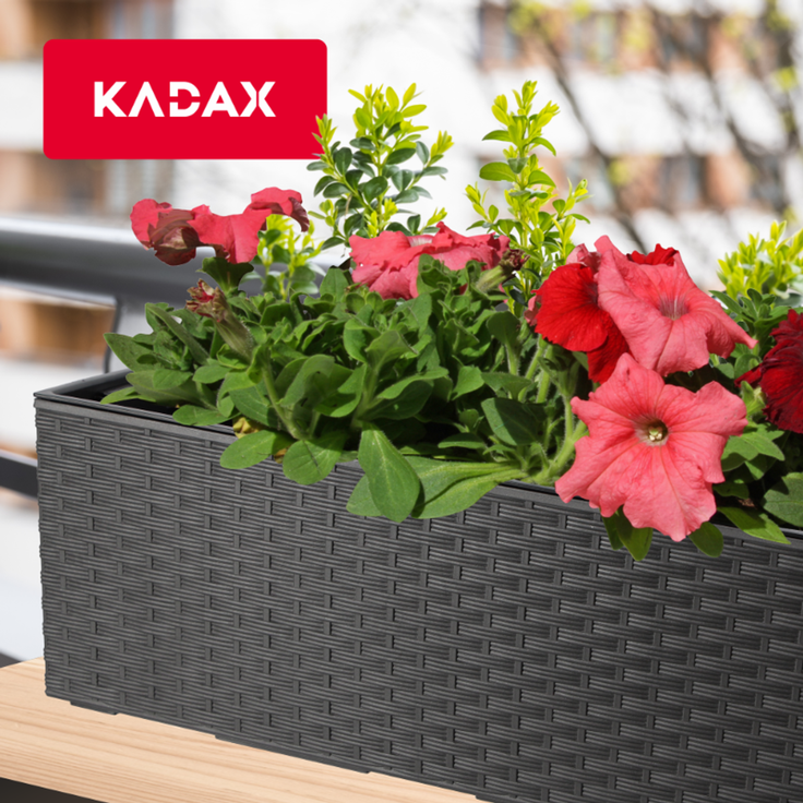 KADAX Blumentopf Balkonkasten + Einsatz 19x56cm Graphit – Bild 7