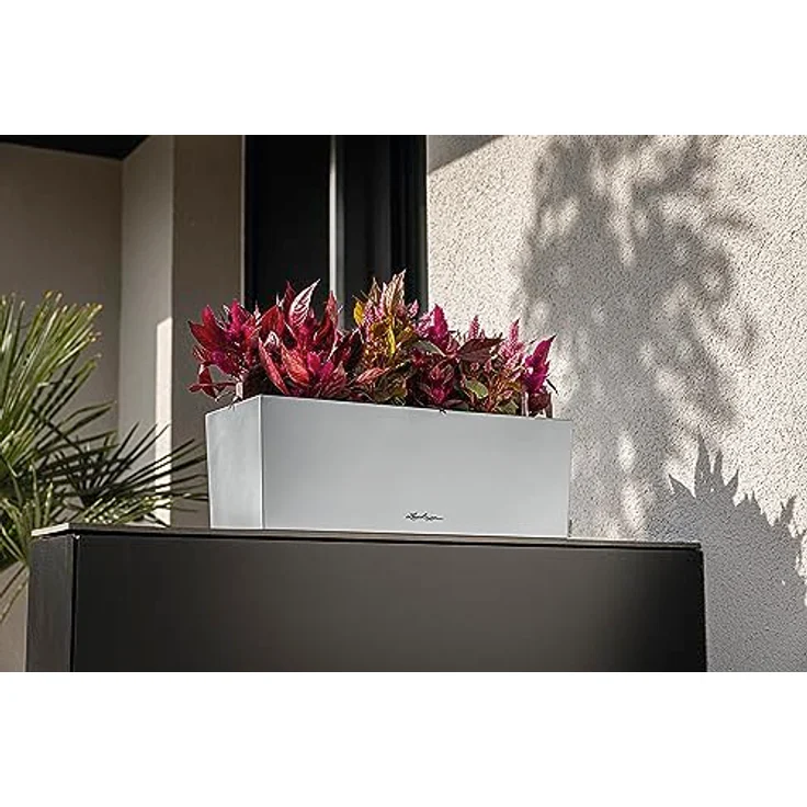 Lechuza Balconera Steel, Balkonkasten aus Edelstahl mit max. Außenlänge 80 cm, perlgrau, mit integriertem Bewässerungssystem – Bild 6