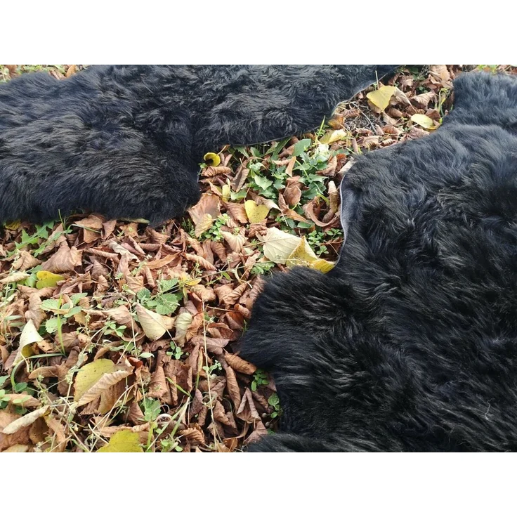 Provellus Fellteppich Echte Öko Schaffelle Lammfell Schwarz Bis 140 cm 2. Wahl, 30x30cm rund – Bild 3