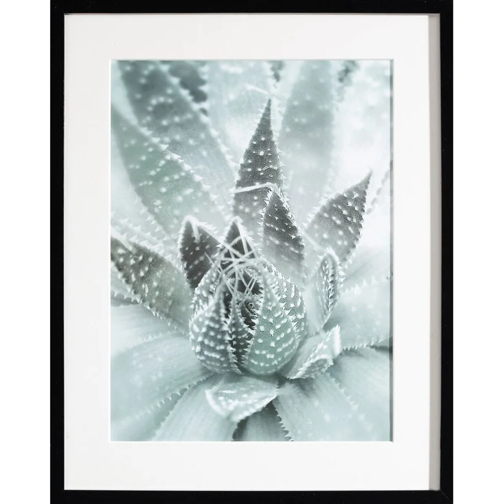 Dekoria Wandbild Succulents III 40x50xcm
