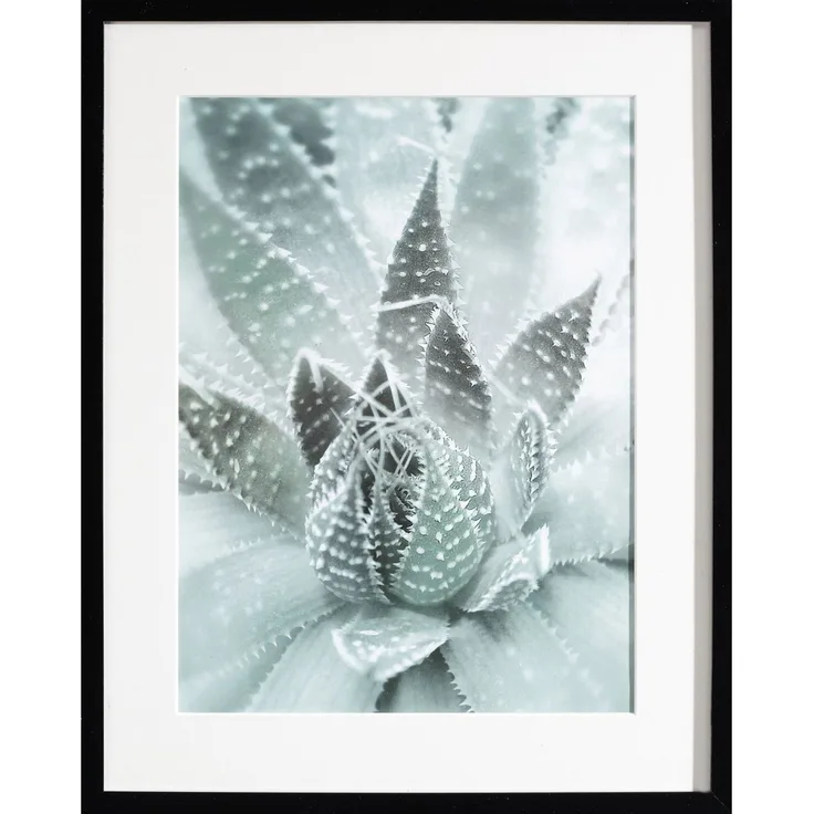 Dekoria Wandbild Succulents III 40x50xcm