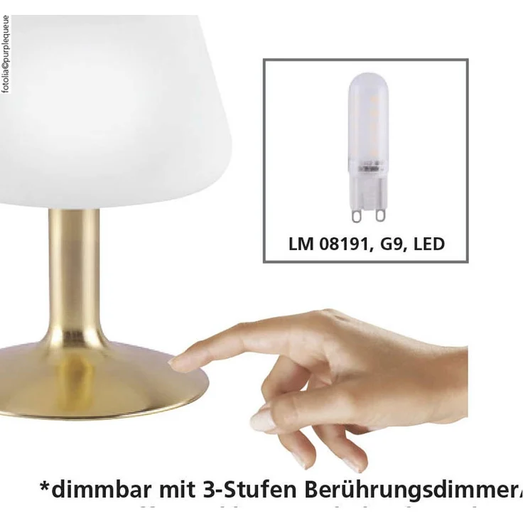 TILL Paul Neuhaus Tischleuchte, stahl 1xG9 3W 3000K Innenleuchte, IP20 13618 – Bild 4