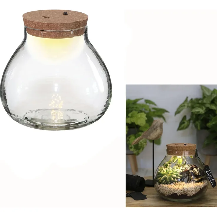 Annastore Übertopf Pflanz-Terrarium mit LED-Beleuchtung - Pflanzenglas - Flaschengarten, Pflanzenterrarium, Glas-Terrarium