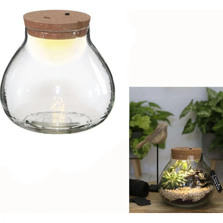 Annastore Übertopf Pflanz-Terrarium mit LED-Beleuchtung - Pflanzenglas - Flaschengarten, Pflanzenterrarium, Glas-Terrarium