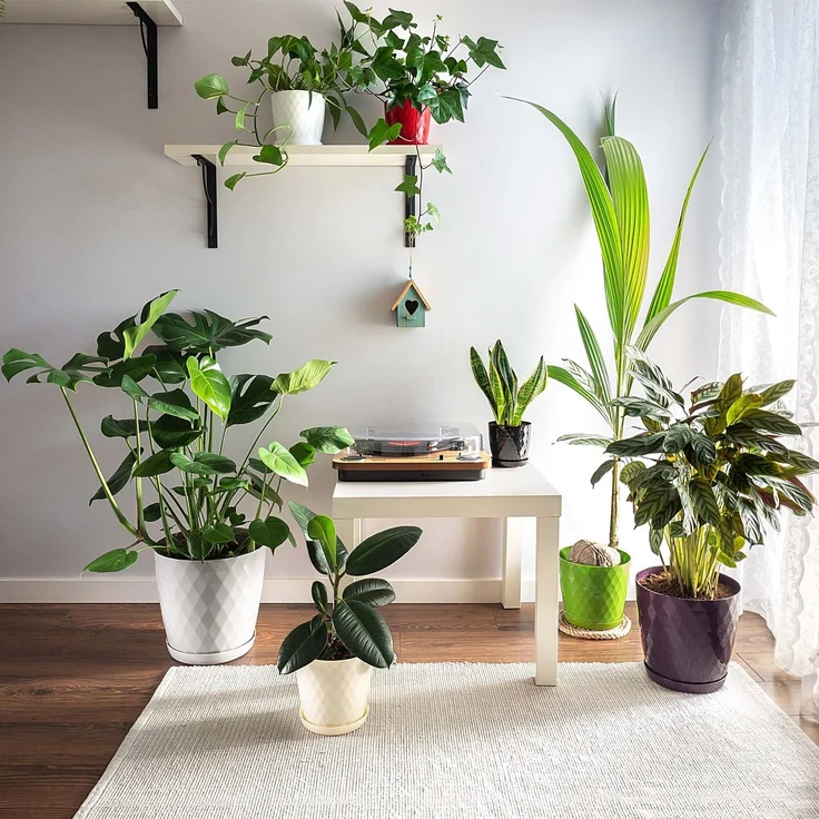 KADAX Kunststoff-Blumentopf mit Ständer, Blumenabdeckung, 25 cm, grau – Bild 7
