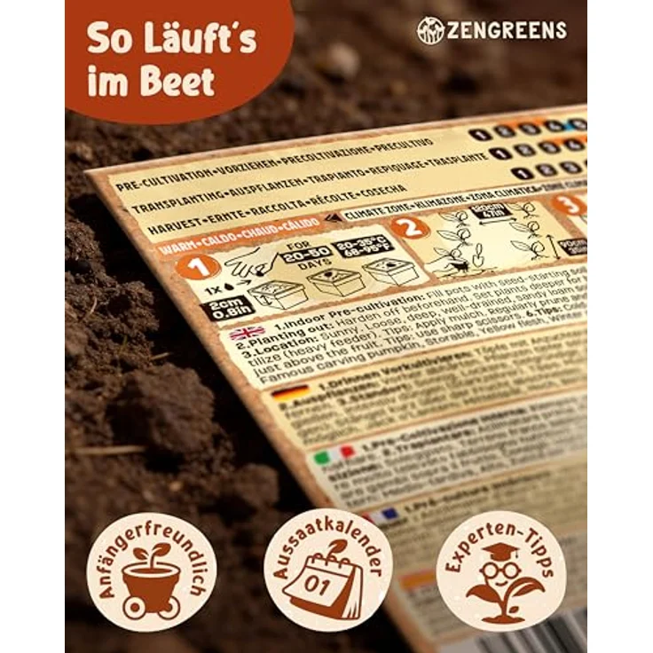 ZenGreens® - Bio Kürbissamen im 6er Set - 6 Kürbis Samen für den einfachen Anbau im Garten, Balkon oder Hochbeet - Pflanzensamen - Saatgut – Bild 8