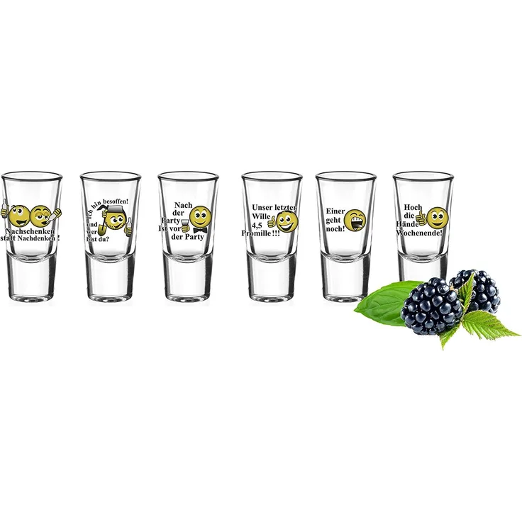 6 Schnapsgläser Tequilagläser mit Sprüchen Gläser Schnaps Shots Stamper Wodkaglä