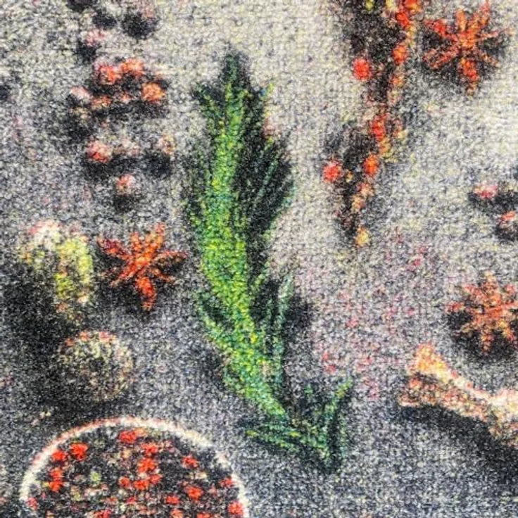 Teppich-Traum Küchenläufer mit rutschfestem Gelrücken waschbar mit Kochlöffeln und bunten Gewürzen, 80x200 cm – Bild 6