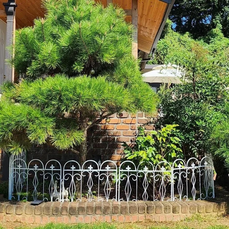 UNHO Gartenzäune Beetzaun Metall Rankgitter Dekozaun Betteinfassung Beetbegrenzung 5 Stück Teichzaun Gartenzaun Steckzaun Metall Zaun Zaunelement Gehege Zaungitter Weiß 61x70 cm – Bild 9