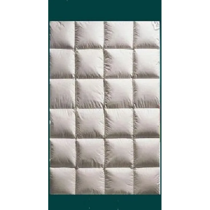 Hofmann anschmiegsame Ganzjahresdecke Daunendecke 135x200 cm 980 g Daunen