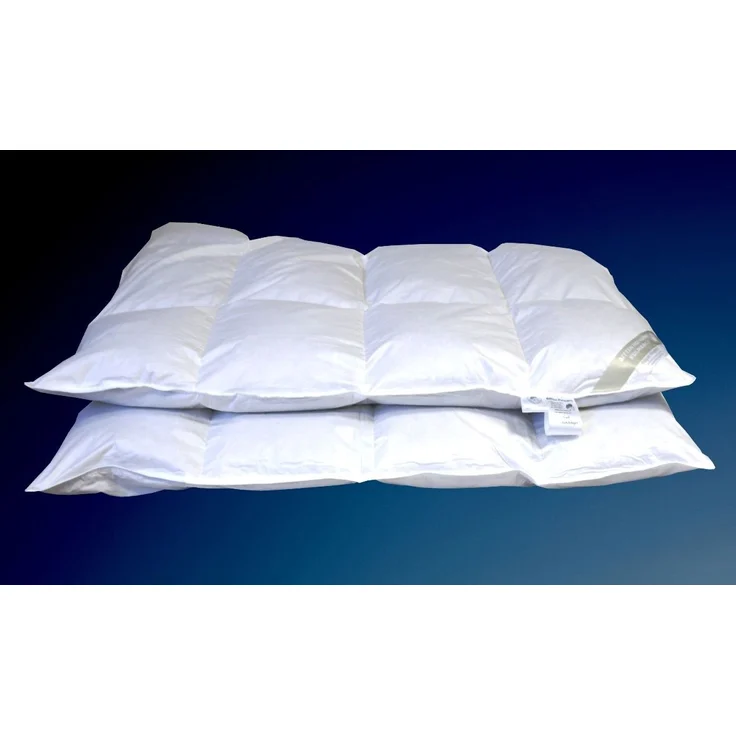 Hofmann Franken 8cm Hochsteg Winterbett Daunenbett Daunendecke 4x6 135x200 1080g – Bild 2