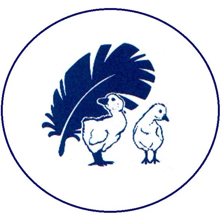Betten Hofmann Aroma Zirbenkissen 3-Kammer-Kissen Kopfkissen Luxuskissen mit Daunenhülle 70x90 – Bild 9
