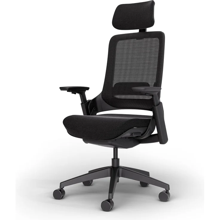 Ergotopia 'NextBack Pro' ergonomischer Bürostuhl mit integrierter Lordosenstütze, 3D Armlehnen & verstellbarer Kopfstütze, Schwarz – Bild 1