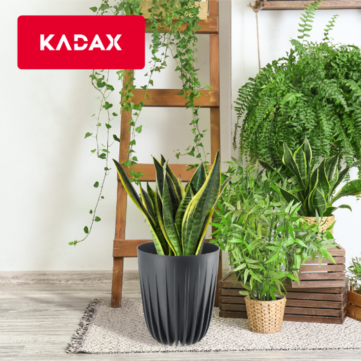 KADAX Blumentopf Eco Cover + Einsatz in Anthrazit 19x22,5 cm – Bild 7