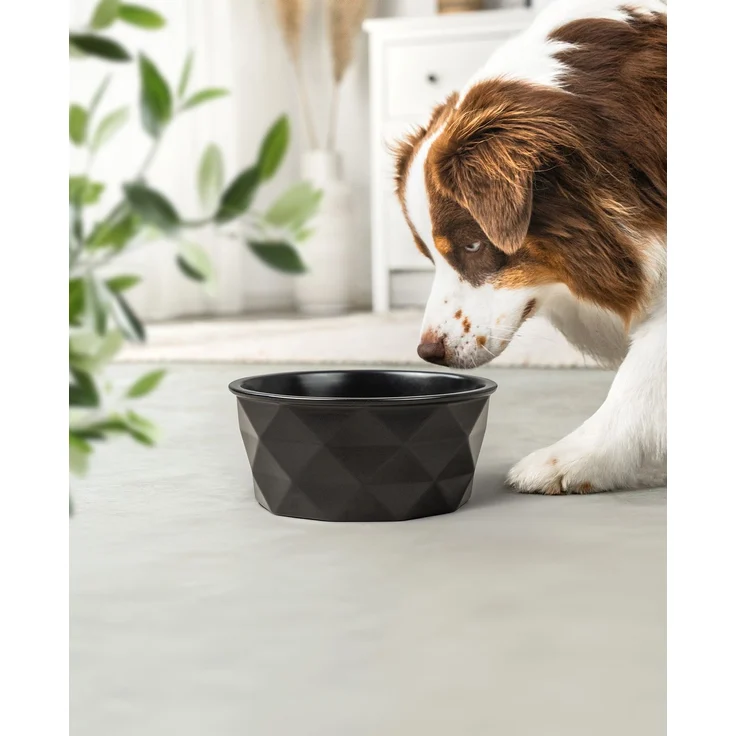 lionto Keramik Futternapf, hochwertiger Napf für Hunde & Katzen, spülmaschinengeeignet, rutschfest & stilvoll, 1900 ml, schwarz matt – Bild 2