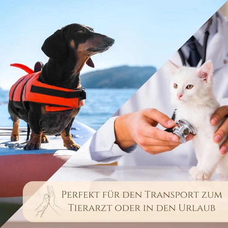 2er Set Transportbox Hundebox Katzentransportbox Kaninchen Transport Auto Box Korb Katzenbox extra viele Luftschlitze sicheres Schloss – Bild 6