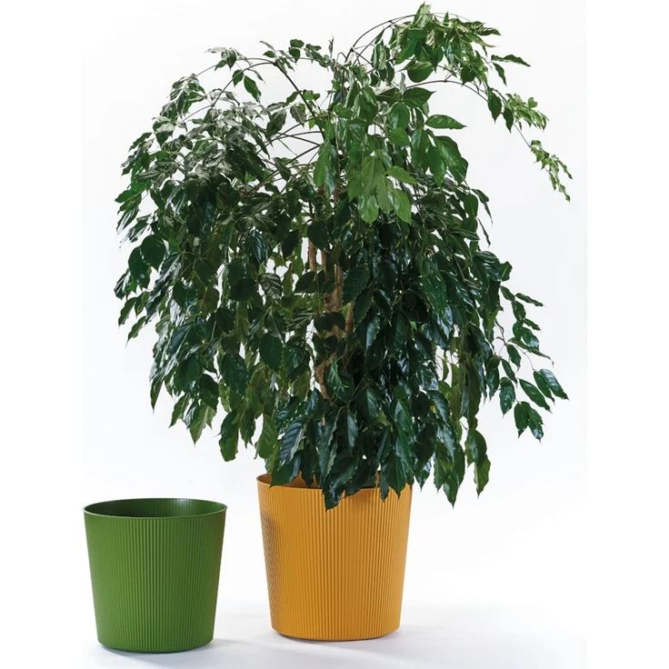 Bl.-Topf FYRE 35cm mango – Bild 5